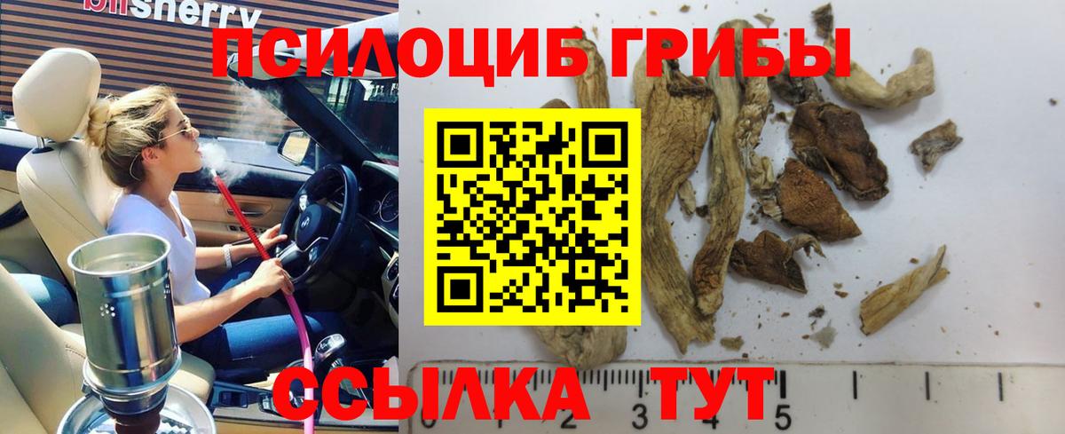 Псилоцибиновые грибы GOLDEN TEACHER Великий Новгород